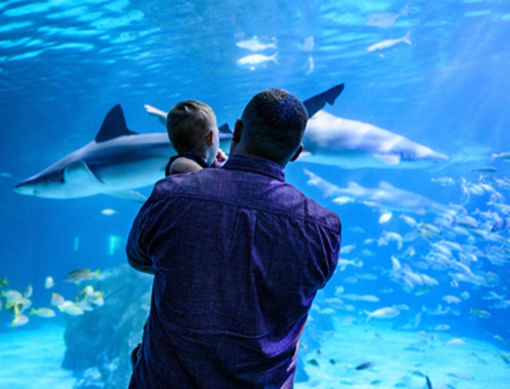 آموزش به فرزندان